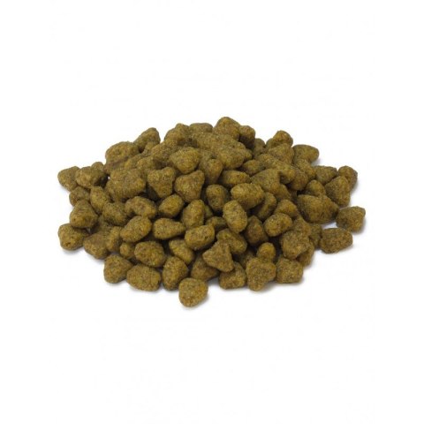Arquivet Arquivet Sucha karma dla kotów sterylizowanych z indykiem 1,5 kg