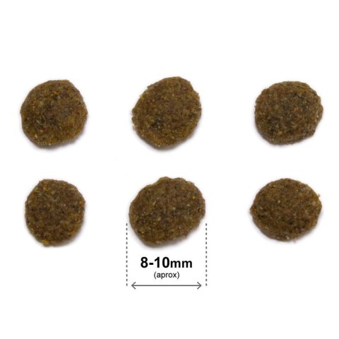 Arquivet ARQUIVET CAT Original dla kotów sterylizowanych kurczak z ryżem 1,5 kg