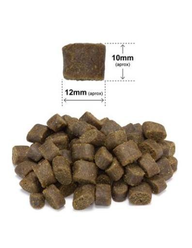 Arquivet Fresh PRÓBKA ARQUIVET FRESH Półwilgotna karma dla psa kurczak i ryba oceaniczna 100 g
