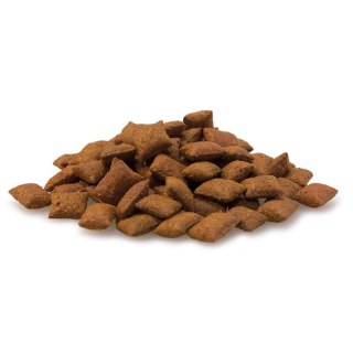 Arquivet ARQUIVET Ciasteczka na odkłaczanie dla kotów 40g