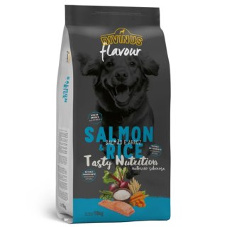 Divinus Divinus FLAVOUR łosoś z ryżem 18 kg