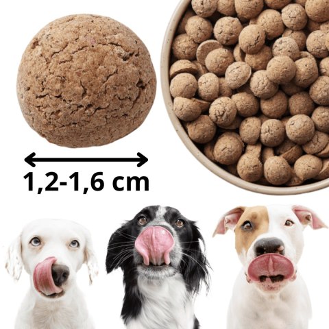 Kraina Radolin Dzik 1,2 kg rasy większe dla psów z alergią i nadwrażliwością 65% mięsa karma sucha pieczona