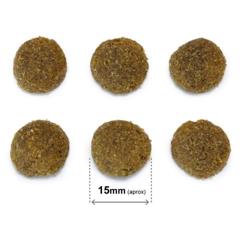 Arquivet ARQUIVET Original wieprzowina iberyjska 20 kg